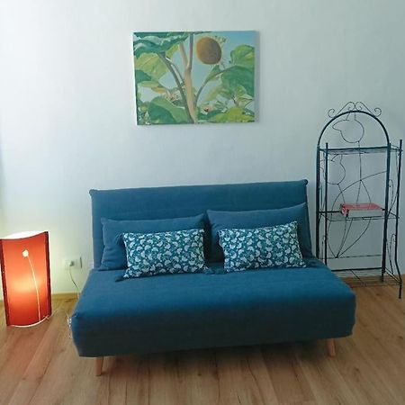 Pane E Tulipani, Cozy Apartment Near City Center Torino Eksteriør billede
